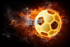 阿尔特塔亲证萨利巴留队宣言，他对我说想为你效力，这很酷